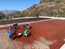 GUATEMALA Santa Rosa El Boqueron ESPRESSO