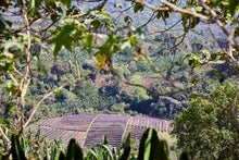 ETHIOPIA Gara Agena FILTER
