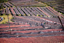 ETHIOPIA Gara Agena FILTER