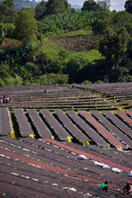 ETHIOPIA Gara Agena FILTER