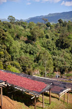 ETHIOPIA Gara Agena FILTER