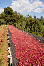 ETHIOPIA Gara Agena FILTER