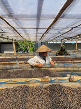 INDONESIA Flores Marselina Walu ESPRESSO