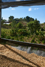 HONDURAS Marcala Community ESPRESSO