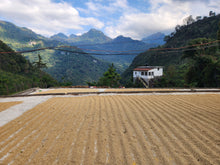 GUATEMALA Santa Rosa El Boqueron ESPRESSO