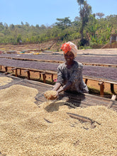 ETHIOPIA Guji Harosema ESPRESSO