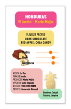 HONDURAS El Jardin - Mario Mejia ESPRESSO