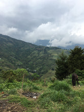 COLOMBIA Popayan Tacueyo FILTER
