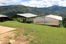 PERU Amazonas Pona Gona ESPRESSO